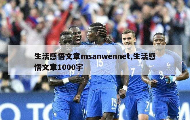 生活感悟文章msanwennet,生活感悟文章1000字