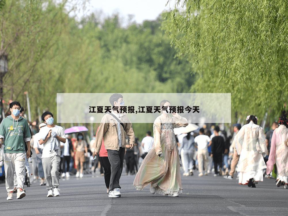 江夏天气预报,江夏天气预报今天