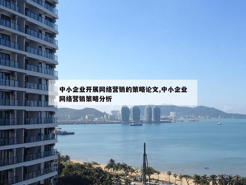 中小企业开展网络营销的策略论文,中小企业网络营销策略分析