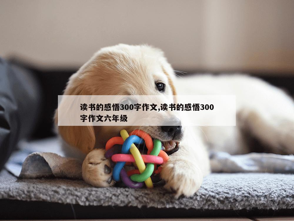 读书的感悟300字作文,读书的感悟300字作文六年级