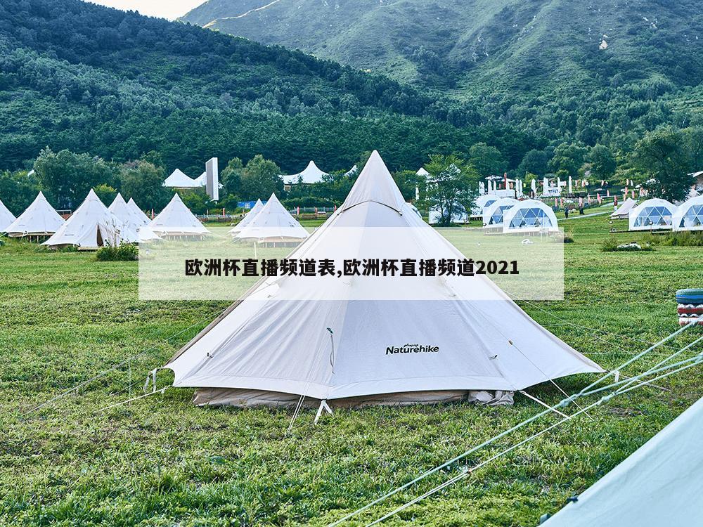 欧洲杯直播频道表,欧洲杯直播频道2021