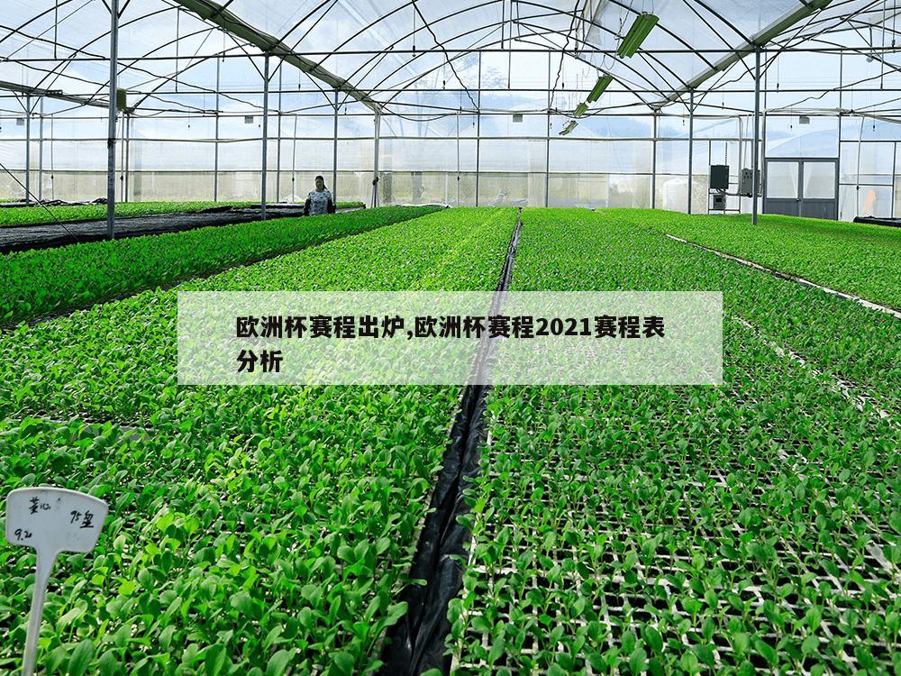 欧洲杯赛程出炉,欧洲杯赛程2021赛程表分析