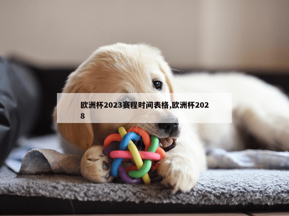 欧洲杯2023赛程时间表格,欧洲杯2028