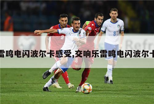 雷鸣电闪波尔卡感受,交响乐雷鸣电闪波尔卡