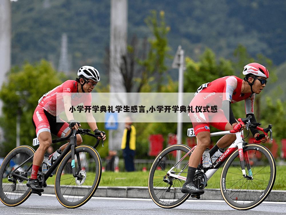 小学开学典礼学生感言,小学开学典礼仪式感