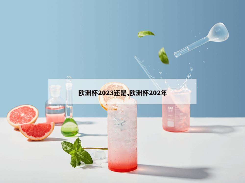 欧洲杯2023还是,欧洲杯202年