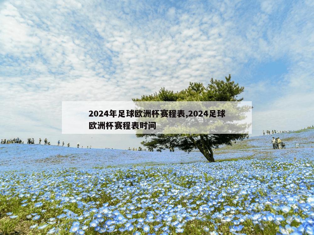 2024年足球欧洲杯赛程表,2024足球欧洲杯赛程表时间